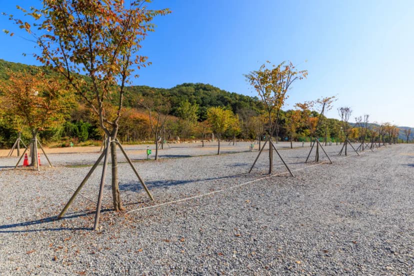 노리터 키즈 캠핑장 사진 6