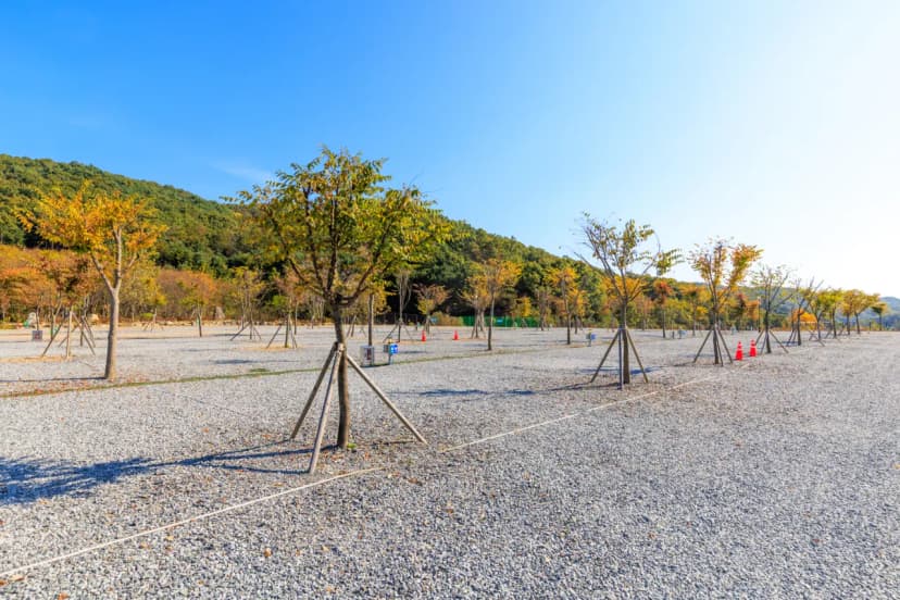 노리터 키즈 캠핑장 사진 7