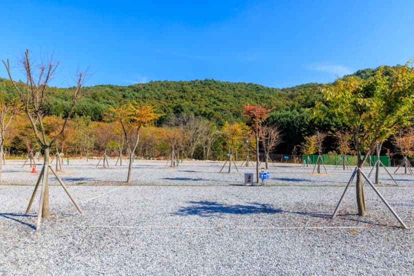 노리터 키즈 캠핑장 사진 8