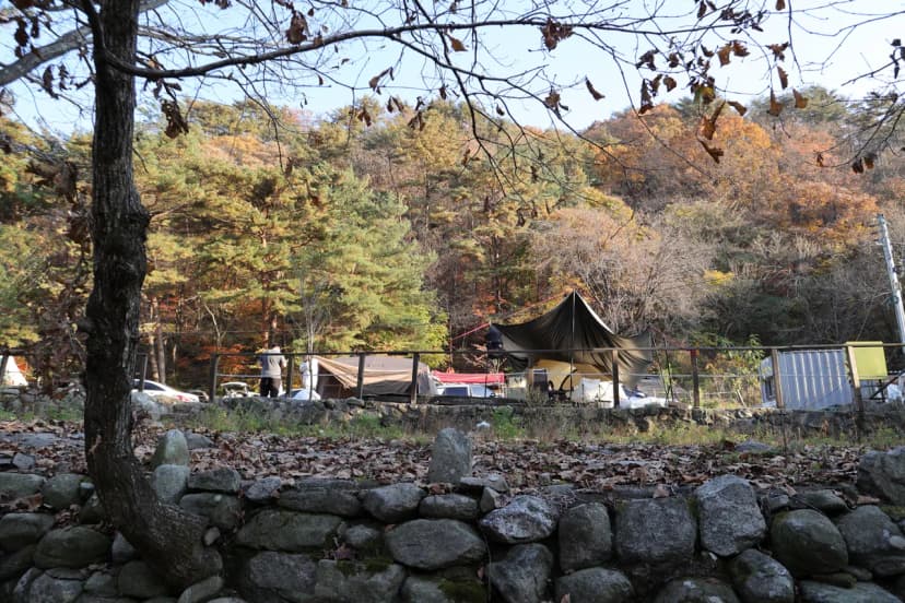 가보세캠핑장 사진 3