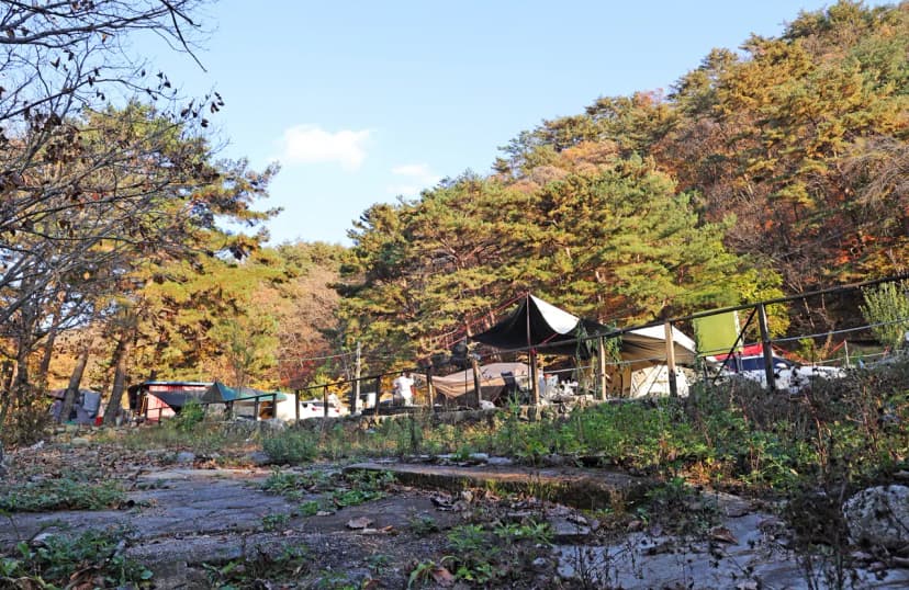 가보세캠핑장 사진 5