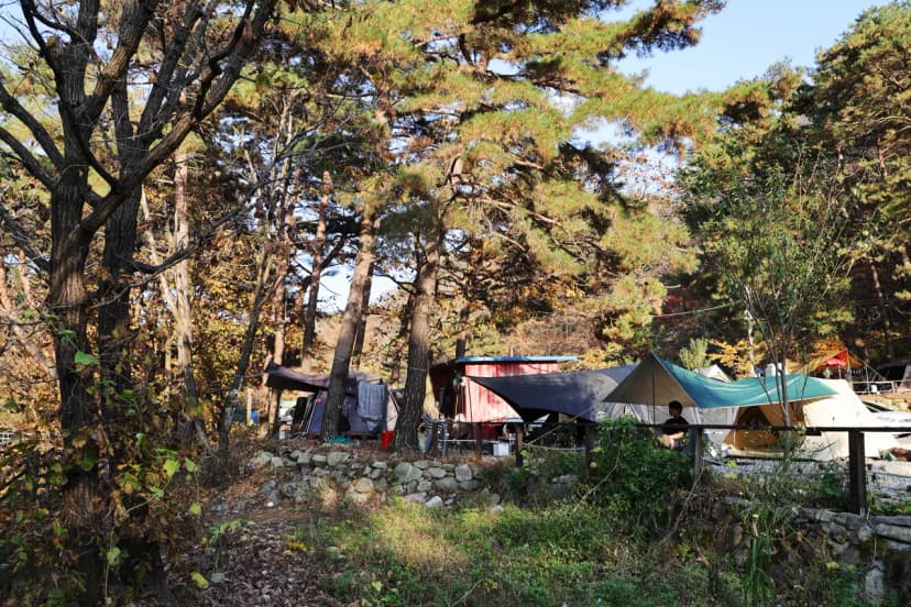 가보세캠핑장 사진 6