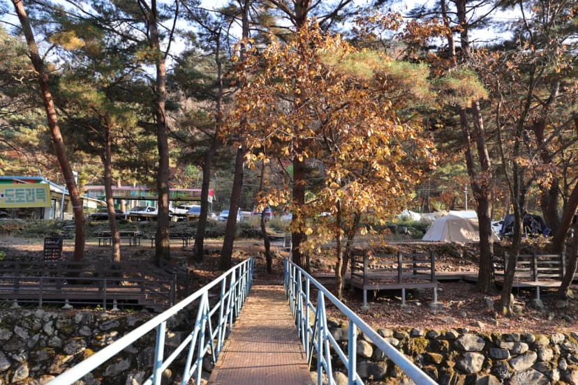 가보세캠핑장 사진 13