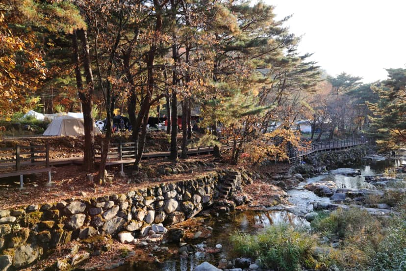 가보세캠핑장 사진 14