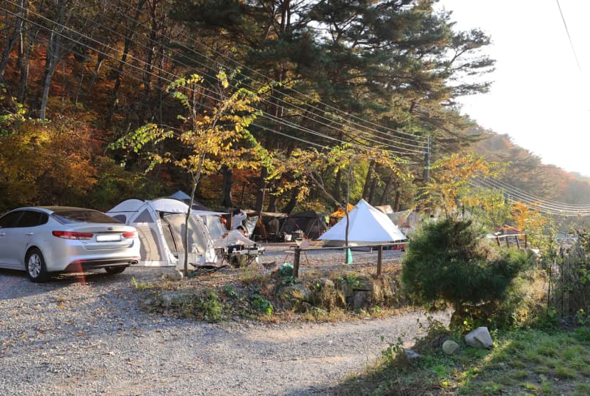 가보세캠핑장 사진 18