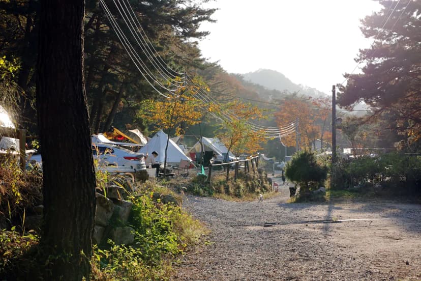 가보세캠핑장 사진 19