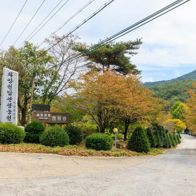 원탑캠핑장 사진 6