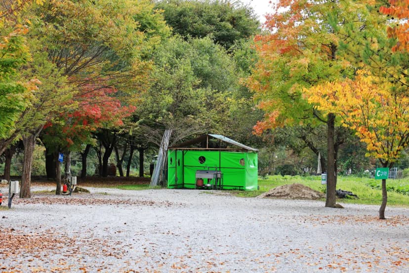 청정 캠핑장 사진 10