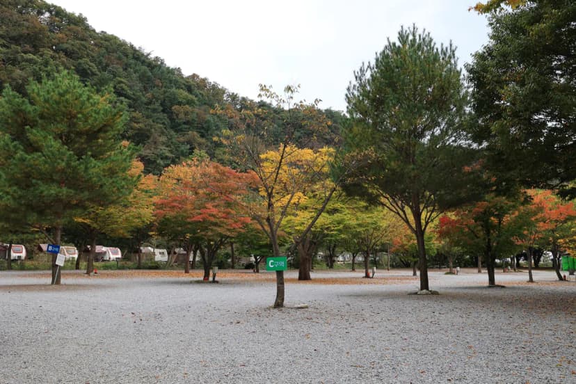 청정 캠핑장 사진 11
