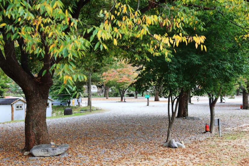 청정 캠핑장 사진 12