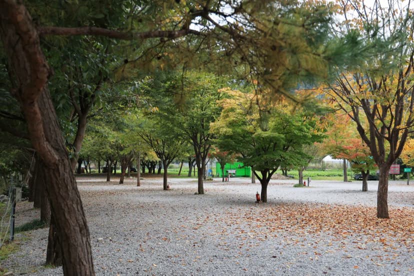청정 캠핑장 사진 14