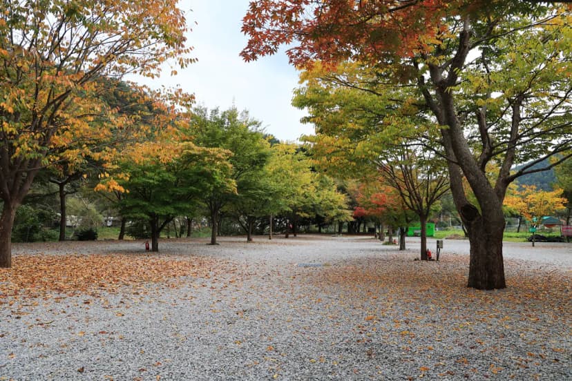 청정 캠핑장 사진 16