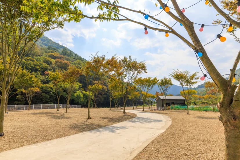 산내캠핑일기 사진 12