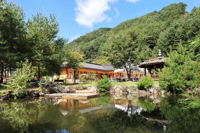 마의태자용소마을캠핑장 사진 3