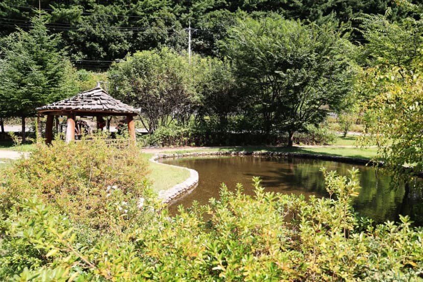 마의태자용소마을캠핑장 사진 8
