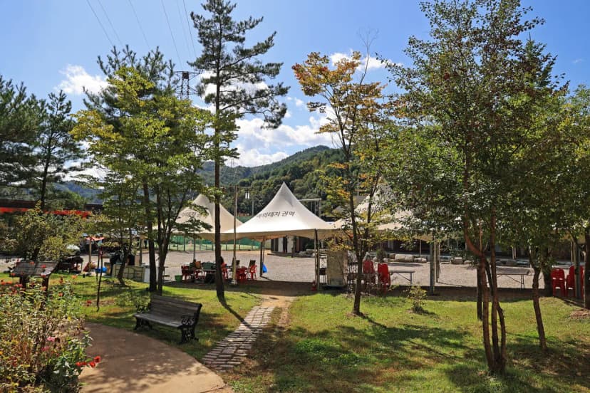 마의태자용소마을캠핑장 사진 9