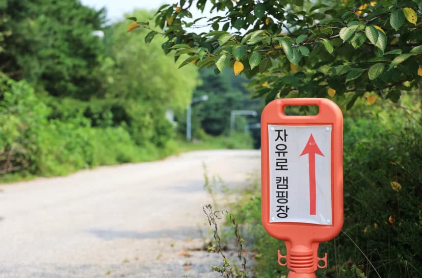 자유로캠핑장 사진 4