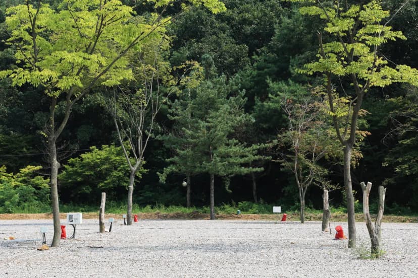 자유로캠핑장 사진 5