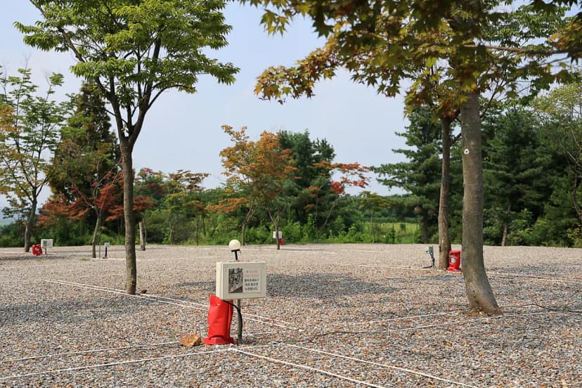 자유로캠핑장 사진 7