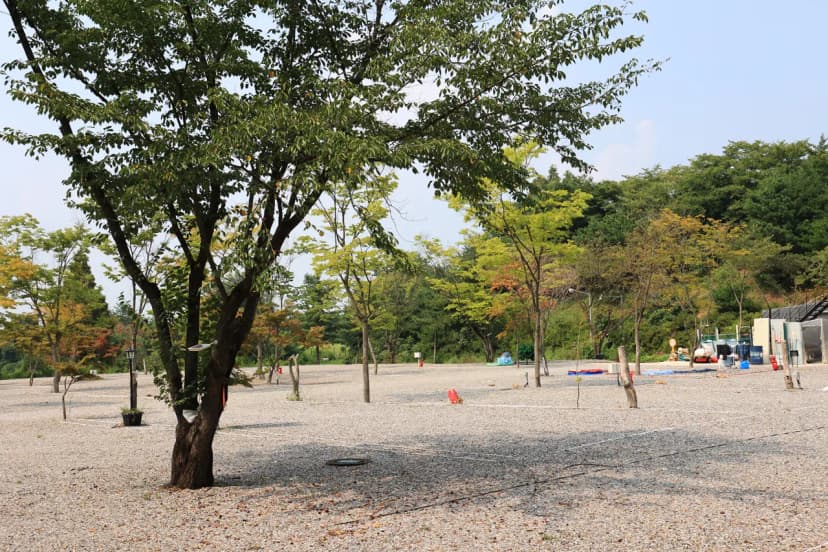 자유로캠핑장 사진 10