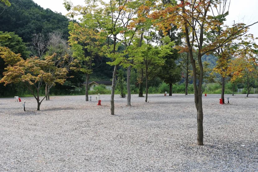 자유로캠핑장 사진 18