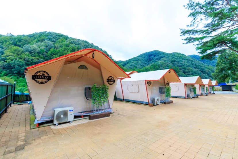 오로라 사진 5