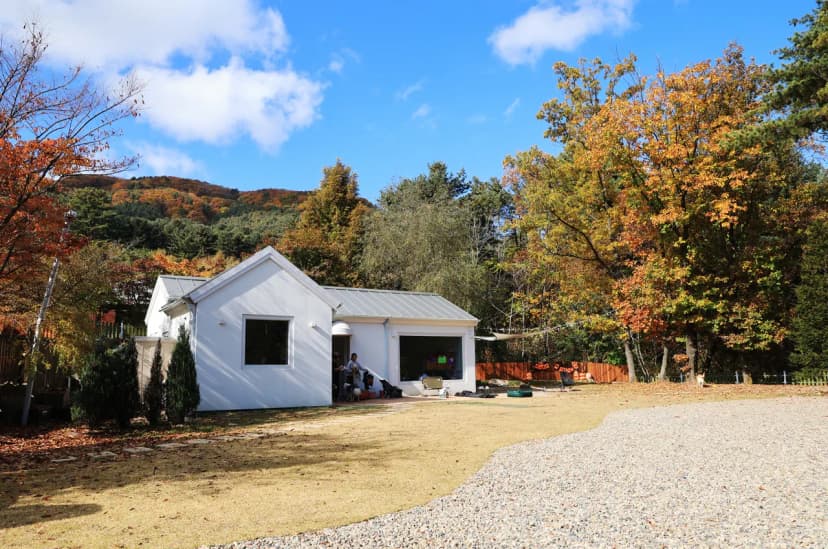 타이니포춘 사진 5