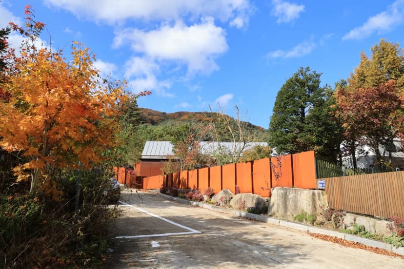 타이니포춘 사진 14