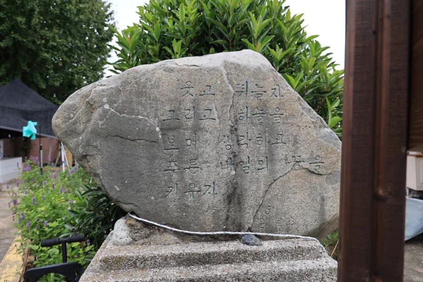 수도캠핑장 사진 15