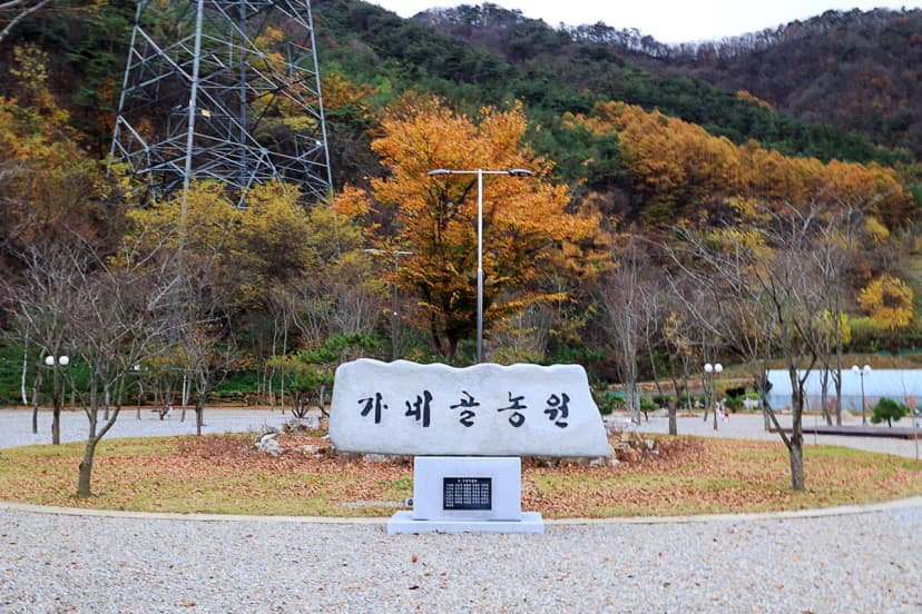 가네골농원 사진 4
