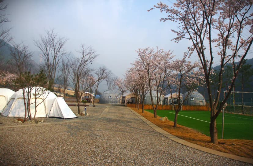 가네골농원 사진 16