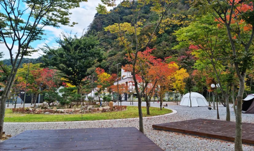 가네골농원 사진 21
