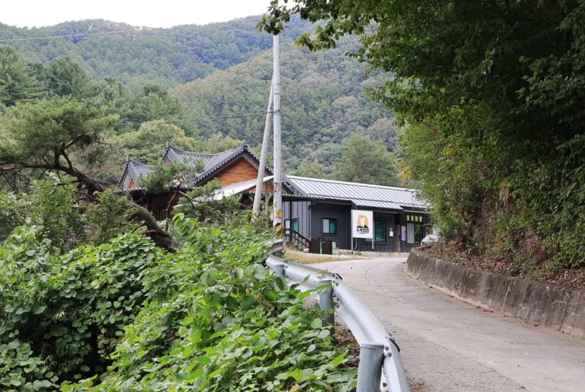 수복캠핑장 사진 9