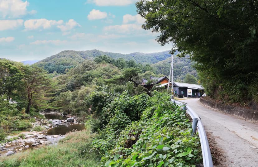 수복캠핑장 사진 13