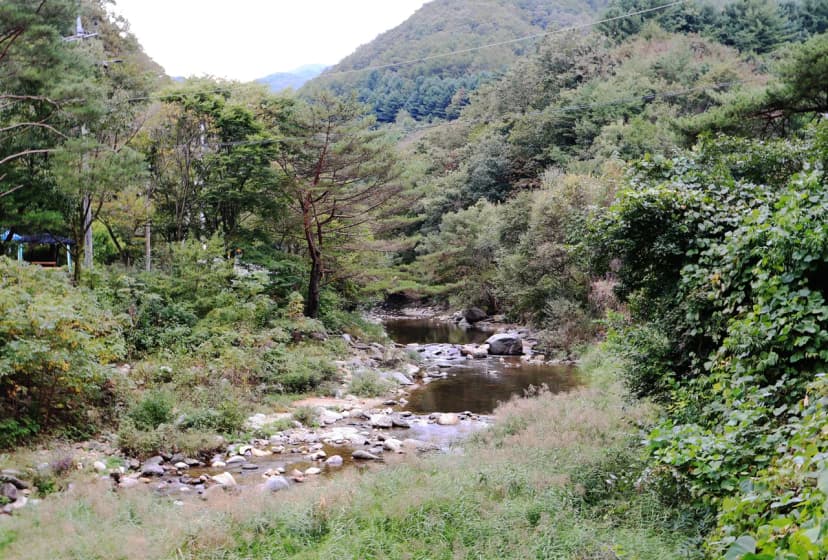 수복캠핑장 사진 14