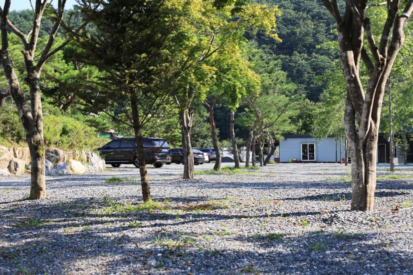 위드힐링 캠핑장 사진 7