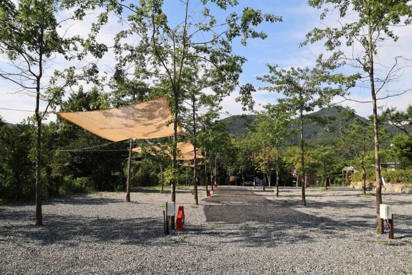 위드힐링 캠핑장 사진 13
