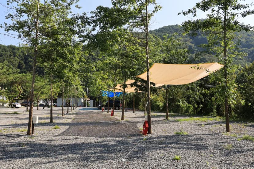 위드힐링 캠핑장 사진 20