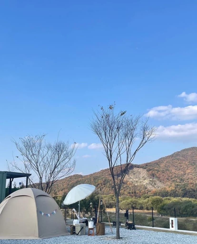 캠프202 사진 9