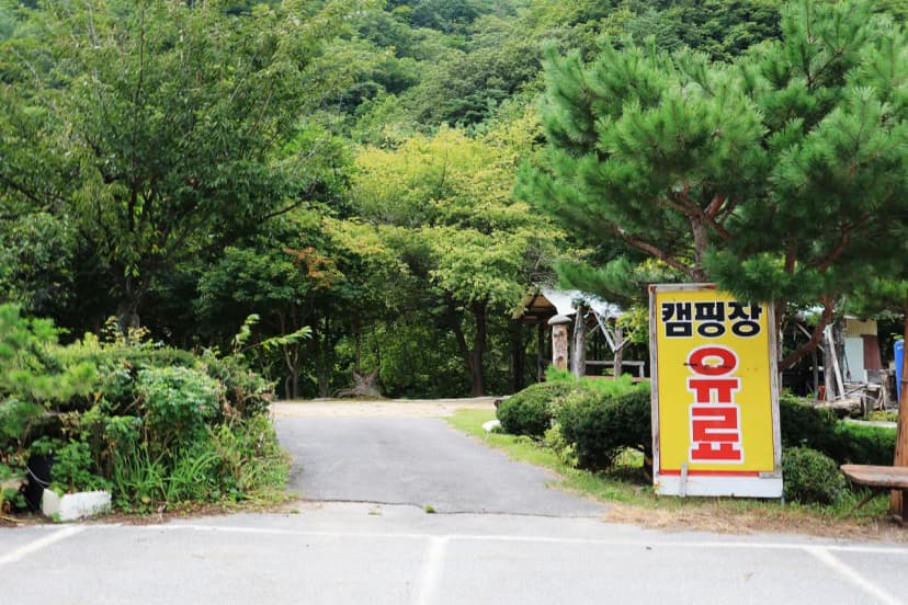 용대 황지 캠핑장 사진 12