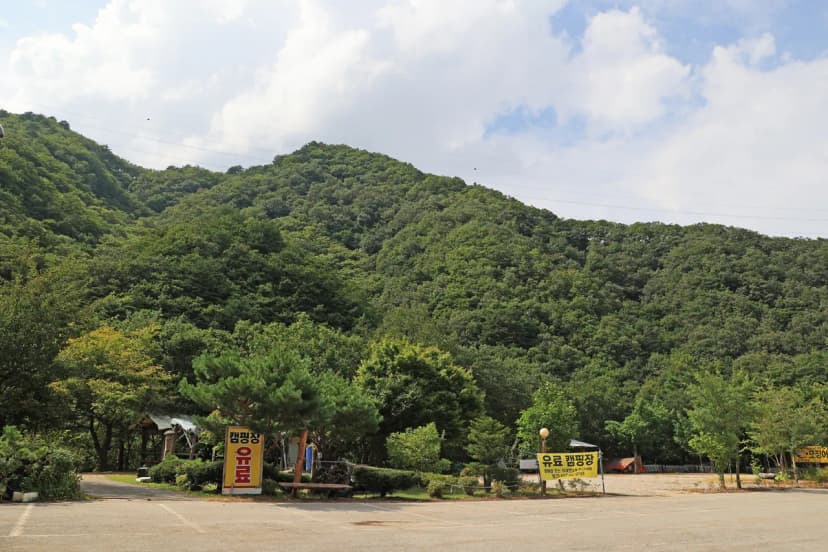 용대 황지 캠핑장 사진 13