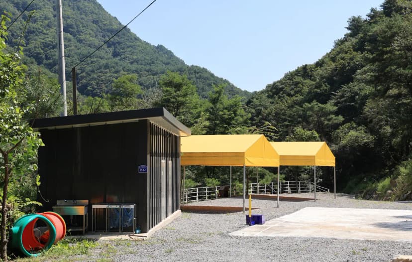 별그리다 캠핑장 사진 5