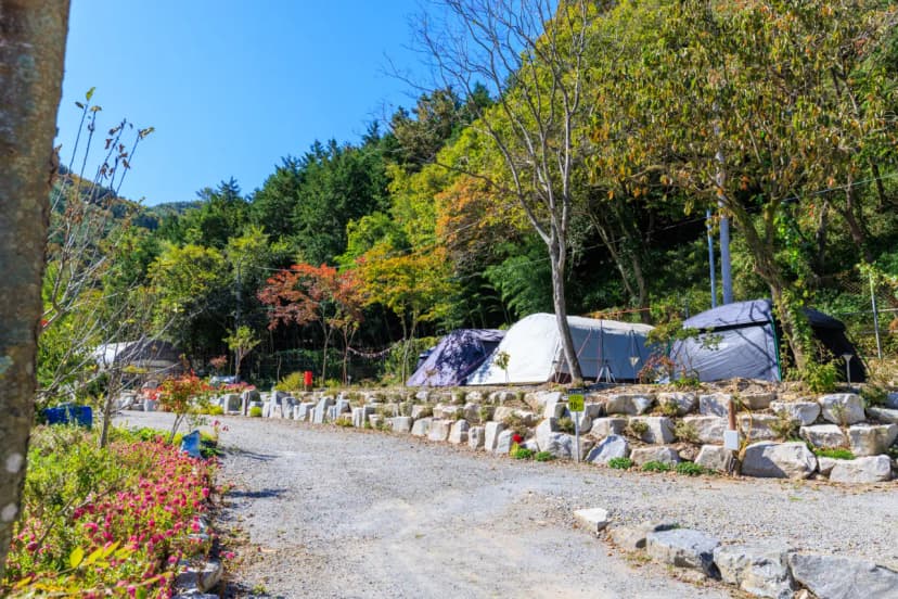 마실야영장 사진 14