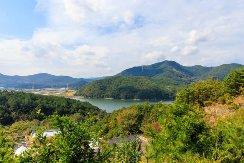 호수도도글램핑장 사진 17