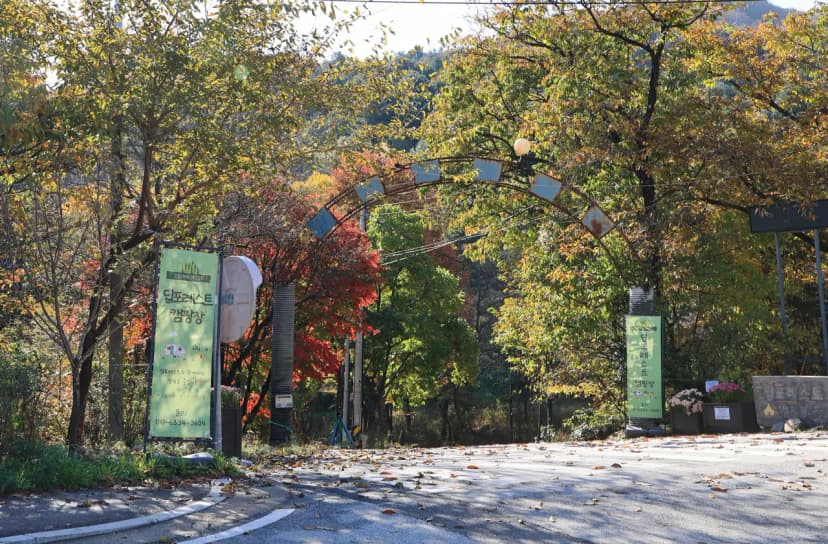 딥포레스트캠핑장 사진 15