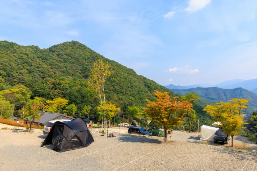 재오개캠핑장 사진 6