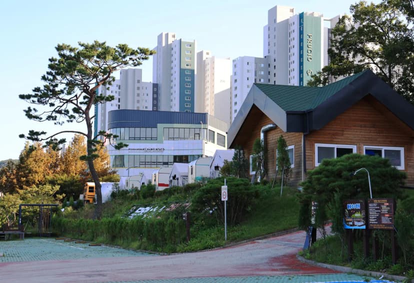 물왕호수캠핑 사진 19