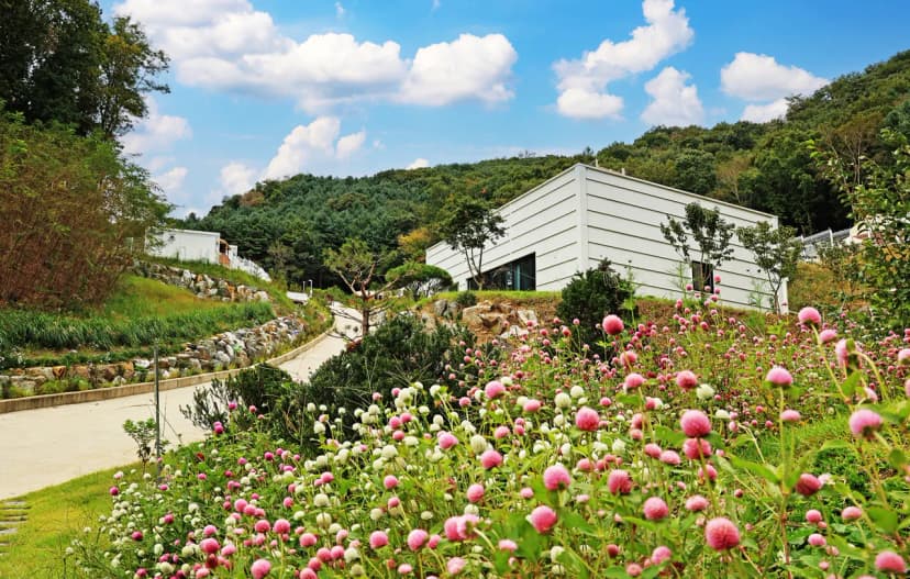 월송리캠프 사진 12