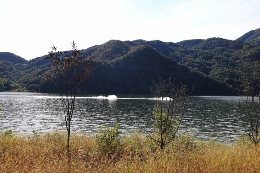 리버위드 글램핑 사진 5