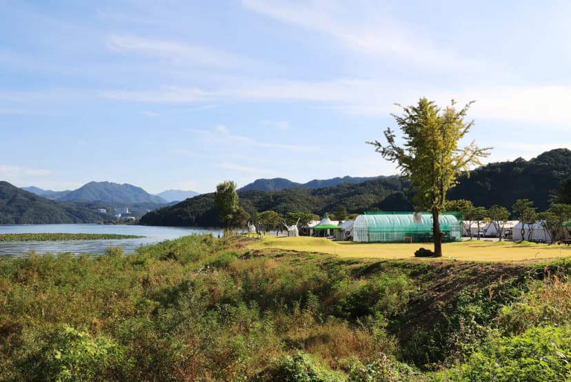 리버위드 글램핑 사진 8